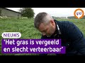 Boeren zijn de regen beu: 'Het gras moet van het land'