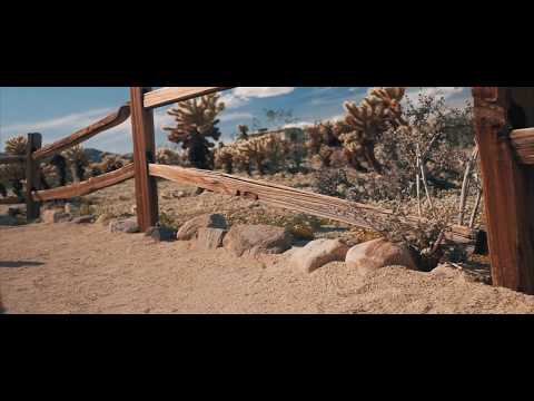 Southern California Desert Wild Flower