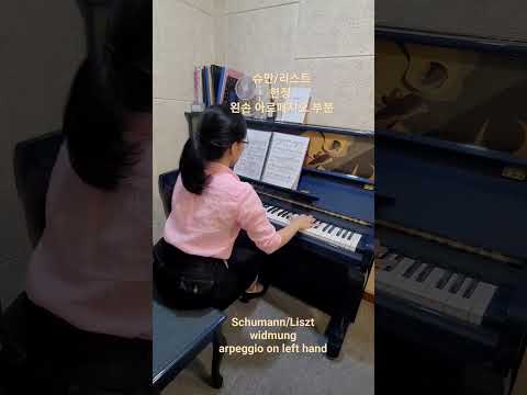슈만/리스트 헌정 왼손 아르페지오 부분
