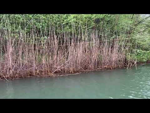 Safely Keeping the Geese Out of Community's Retention Pond in Old Bridge, NJ