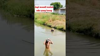 Download lagu lagi mandi malah ada yang iseng,#shortvideo #shortsviral #shorts#trending  #viral #viralvideo#yt mp3