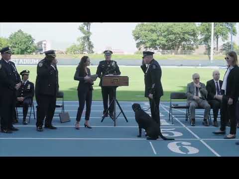 NYPD K9 Graduation