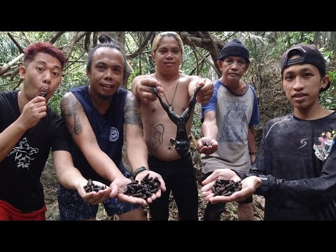 EP87 Part 2 - BULL FROG at SUSONG BARAGAN ( Hunt and Cook ) The ULTIMATE FREEDOM