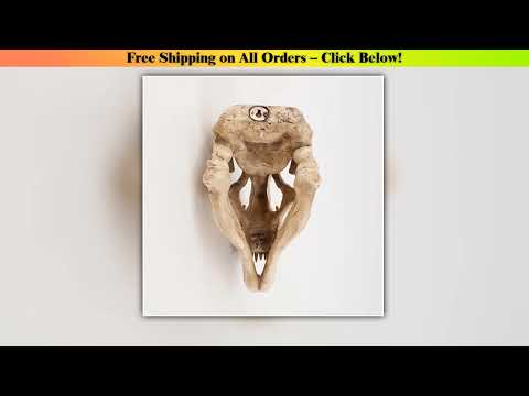 Skull Dinosaur Head Wall Hanging, Personalized Living Room Bar Retro Decorative Wall Decoration,