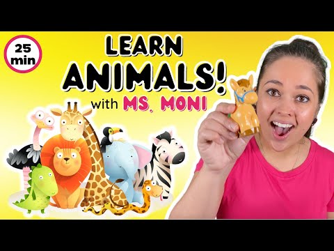 Learn Animals with Ms. Moni | Toddler Music | Teach Animal Songs For Toddlers | Kids Learning