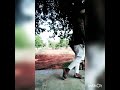 Anushka Fasu Shana Guri Anushka Sen V S Shana Anushka Sen Ka Boyfriend 2019