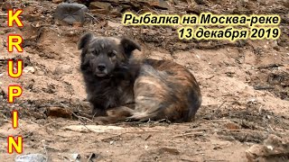 Отчеты о рыбалке на реке москва
