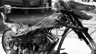 John Wilsons Taste- Daytona Dreaming