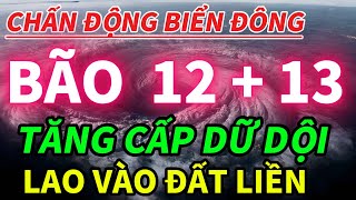 🌪️ STORM NO. 12 FENGSHEN RUNNING QUICKLY TOWARDS VIETNAM – RED ALERT FOR THE ENTIRE EAST SEA!