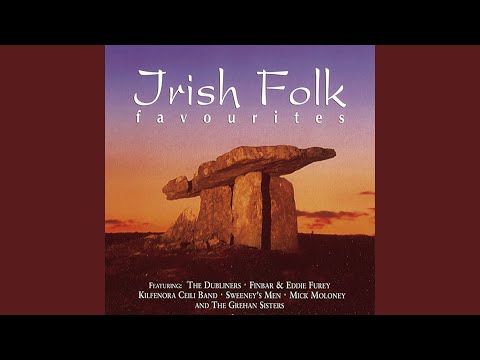 Jigs (Leitrim Jig / Gallagher's Frolics)