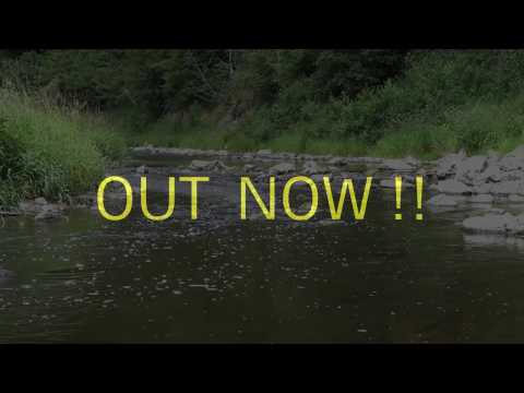 HAGEN von BERGENs HARGEST DARKEN  "DER DAUERNDE FLUSS"