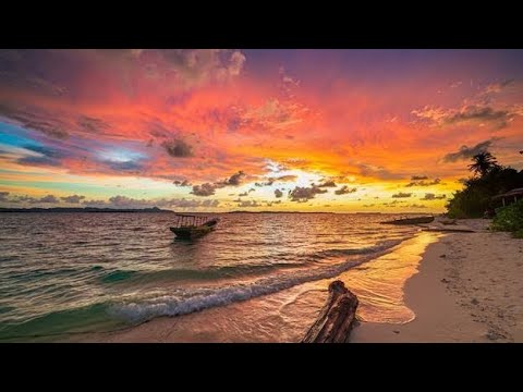 Destrozaste mi alma - La única Tropical (letras) #musica #sígueme #lyrics