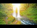 Musica Rilassante E Suoni Della Natura Bellissimo Pianoforte Suoni D Acqua Il Sonno Della Musica