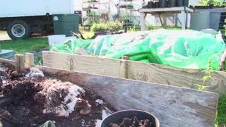 How to Kill Maggots in Horse Manure in a Vegetable Garden : Vegetable Gardening
