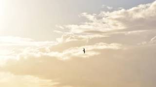 Vorgetäuschte Treue in Ehe und Partnerschaft – Doppelleben der herzenskalten Heuchler