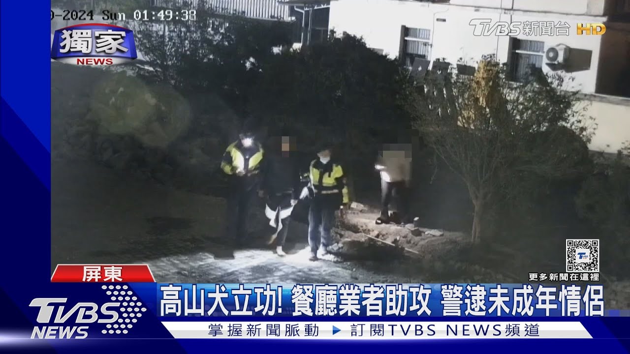2歲高山犬立功！　餐廳以為闖空門原來是無照小情侶逃逸