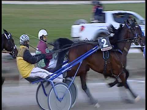 Trotto 31/12/2018 - 2ª corsa