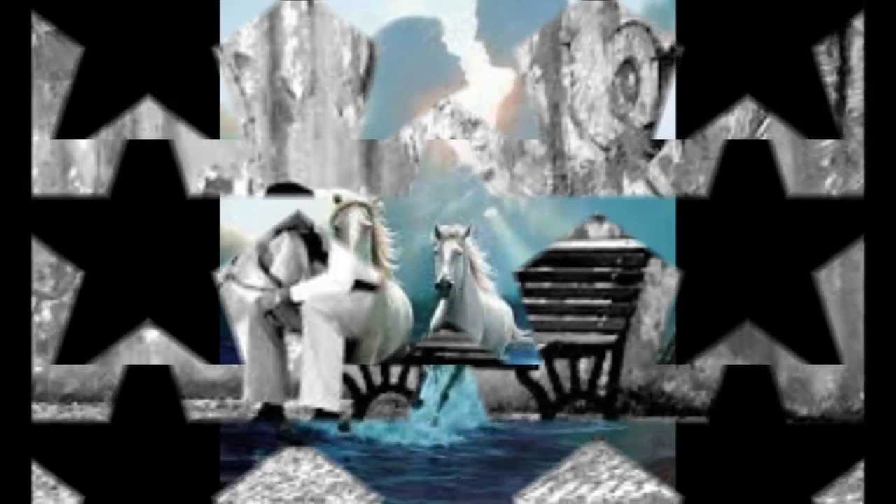 L'ALTRA META DELLA MELA