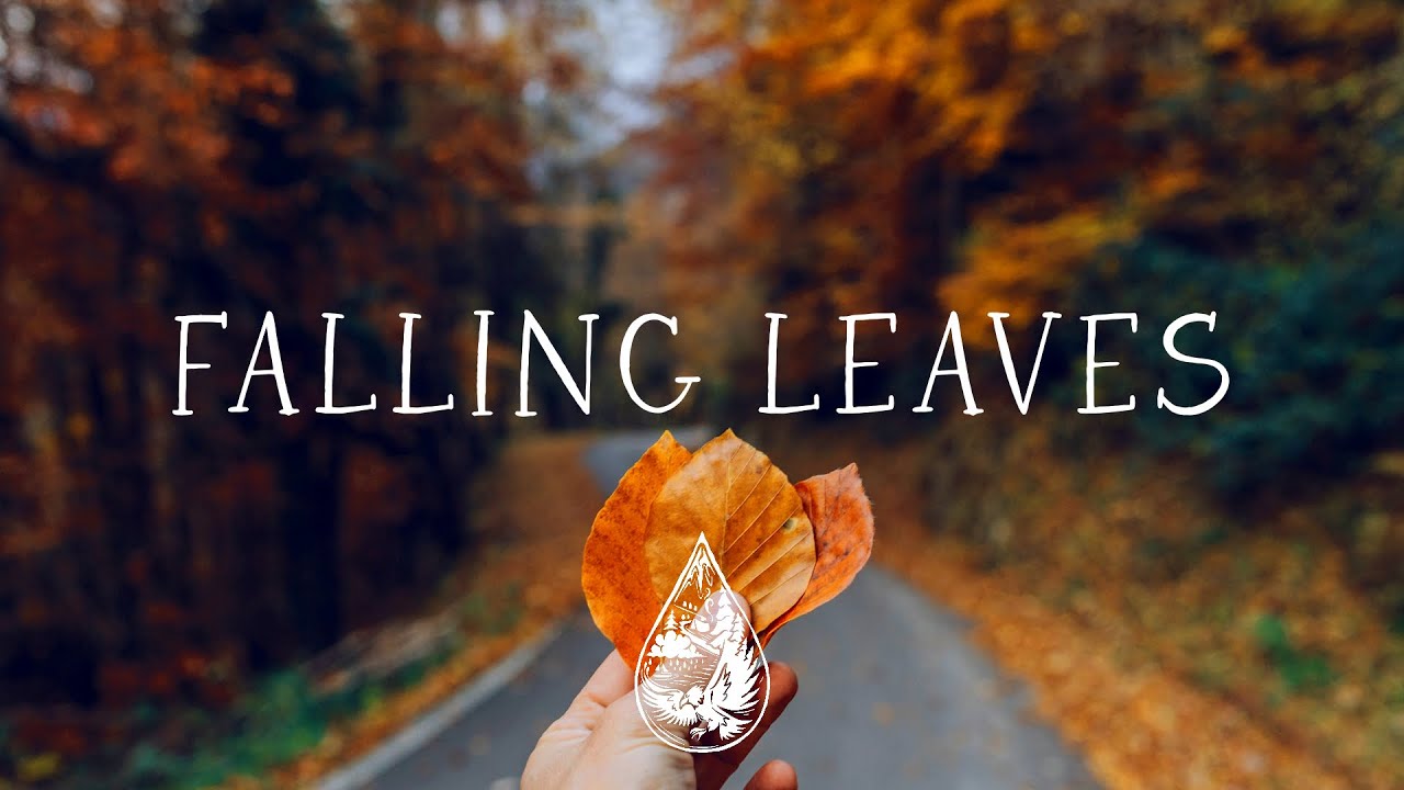 Falling Leaves 🍁 - An Autumn Aesthetic Indie/Folk/Acoustic Playlist