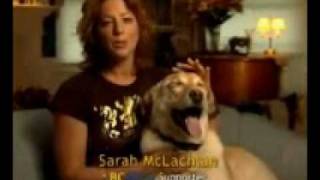sarah mclachlan animal cruelty video