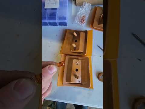 obs 4 corner mod!