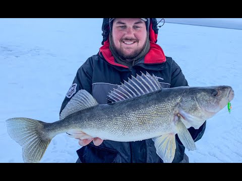 Catch More Walleyes with These Jigging Cadences