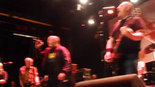 Cocksparrer-Bird Trouble