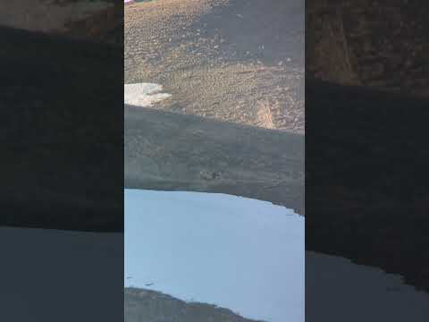 COMPLETE REVIEW of the Magview S1 Spotting Scope Adapter