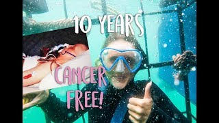 CAGE DIVING WITH GREAT WHITE SHARKS - CAPE TOWN