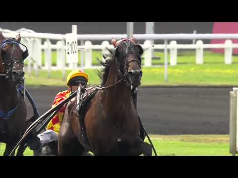 Vabellino - 30 Août 2014 - CRITERIUM DES 5 ANS  - Camera LOOP