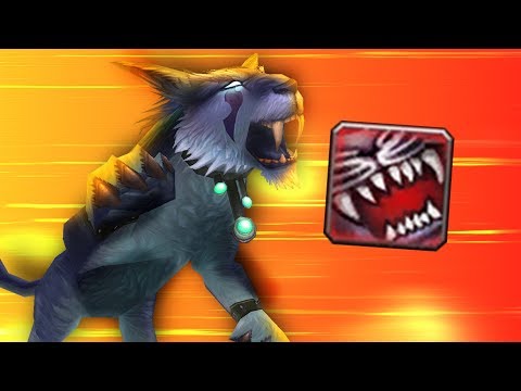 INSANE Feral With Bit BITES! (5v5 1v1 Duels) - PvP WoW: Battle For Azeroth 8.1