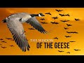 Wisdom Of The Geese - Best Motivational Video