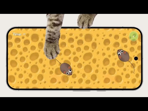 Cat Toy: Mouse Catching Game
