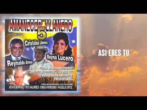 Así Eres Tu - Reyna Lucero | Música Llanera