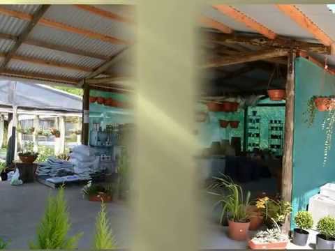 Visita al Vivero Chico Torino, Dpto de Colonia, Uruguay