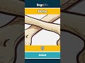 bone - 骨 video thumbnail