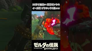 20秒で面白い イーガ団を3連続ビタロックで倒すリンクｗｗ【ゼルダの伝説 ブレス オブ ザ ワイルド】