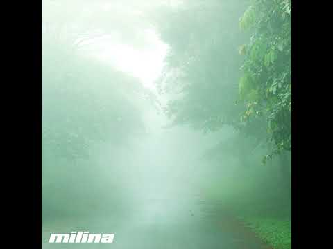 水skeleton - ecstasy utopia (ambient electronic)