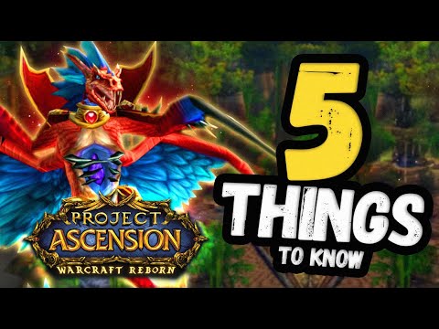 5 Things to KNOW & Prepare for Zul'Gurub Release on Ascension Warcraft Reborn Bronzebeard
