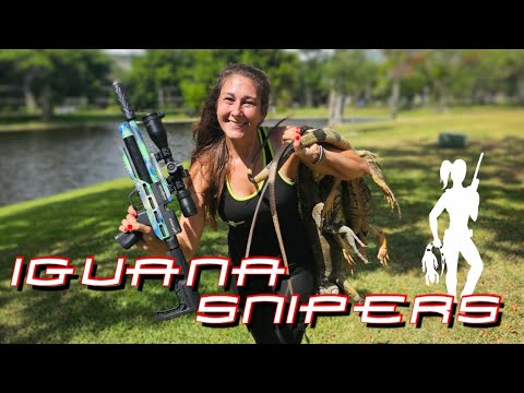 Giant Iguanas taken with Air Rifles in South Florida