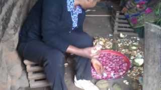 preview picture of video 'What is a Kola Nut |  Esther Lamnyam Explaining what is a Kola Nut'