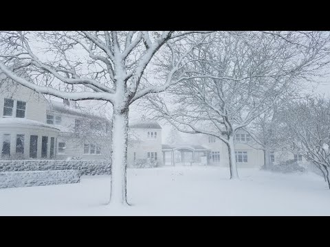 Cape Cod Blizzard! January 29, 2022