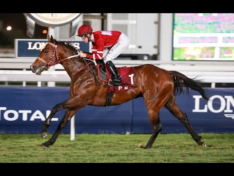 37th Race Meeting of Season 2016 / 2017