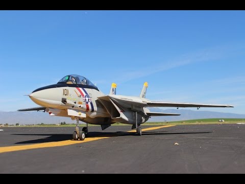 Freewing F-14 Tomcat (twin 80mm EDF) - Big Jolt 2015