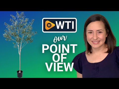 JUSTOYOU Artificial Olive Trees - WTI product video review
