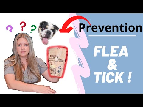 BEST Natural Flea and Tick PREVENTION | Dog and Cat