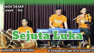 Download lagu Sejuta luka karaoke - Rita Sugiarto nada cewek Dm versi bajidor mp3