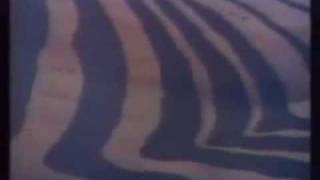 &#39;Blue Shadows&#39; by Roy Rogers