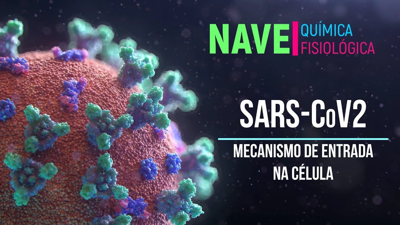 Mecanismos celulares para entrada do SARS-CoV-2 nas células.