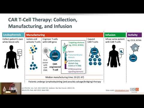 07 Novel approaches for primary refractory DLBCL management | Dr . Bader Alahmari | 14 Sept 2024